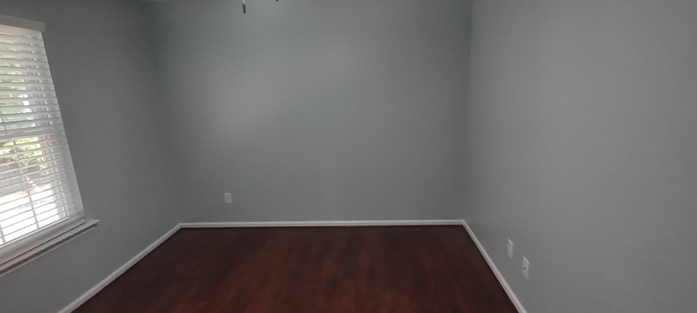Gallery Photo 43